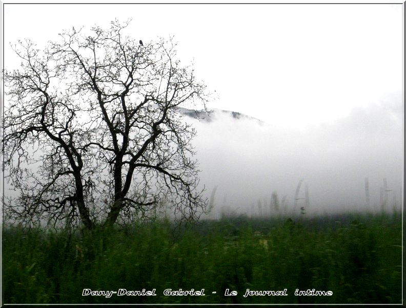 marcher sur les nuages alpes savoie france