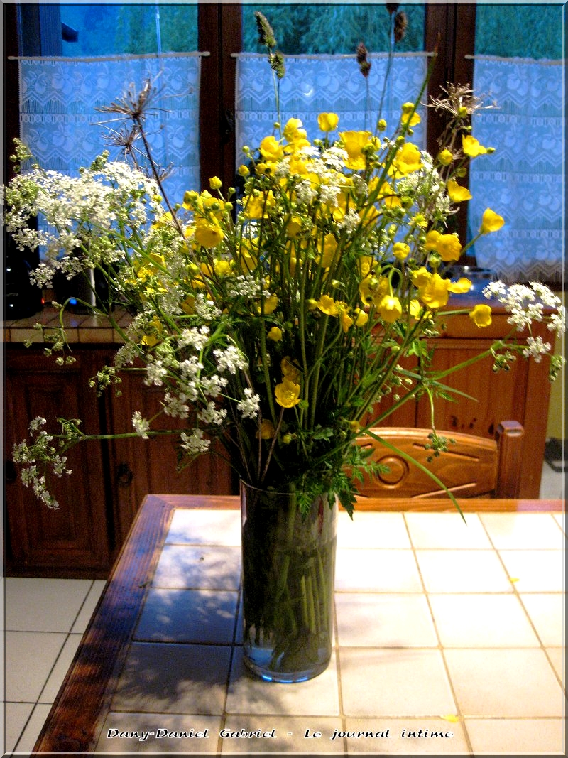 fleurs sauvages alpes,