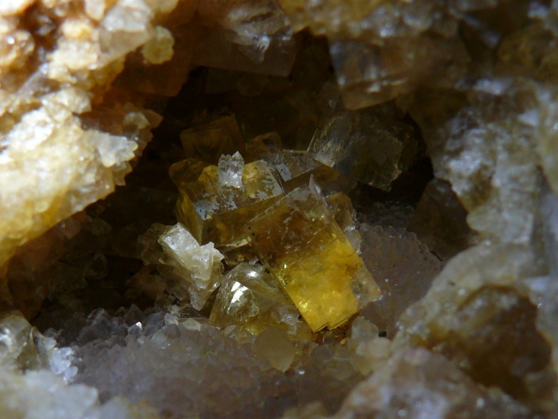 hebergeur image