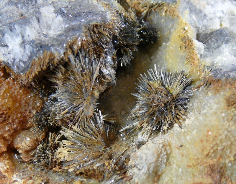 hebergeur image