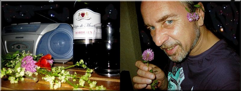 dany daniel gabriel vin fleurs musique