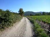 Agrandir l'image Coll de la Ribera - ES-GI-168 mètres