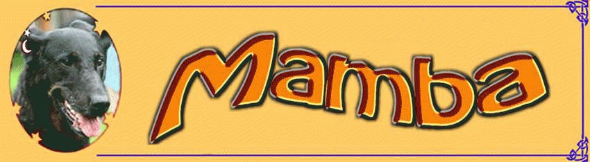 LE FORUM DE MAMBA