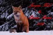 Animaux