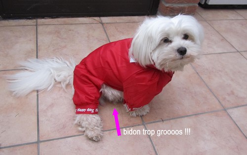 http://nsm05.casimages.com/img/2012/05/15/1205150229031268259855169.jpg