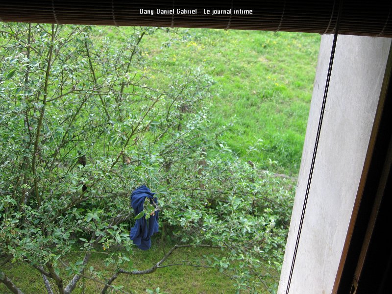 calecon a un arbre