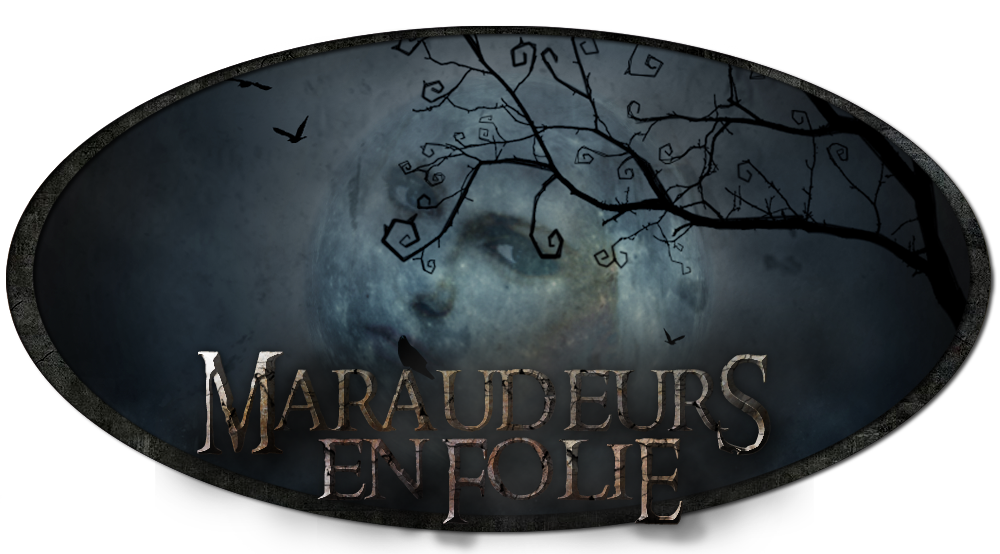 The Marauders Book