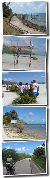 http://nsm05.casimages.com/img/2012/05/20//120520081530443249874470.png