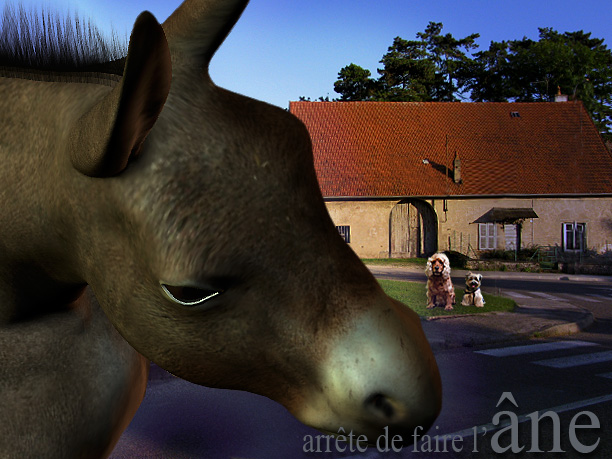 hebergeur image