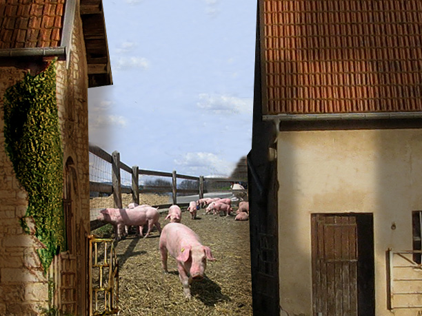 hebergeur image