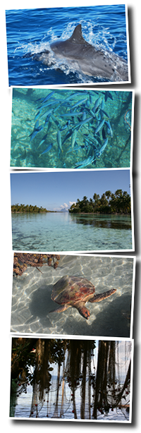 http://nsm05.casimages.com/img/2012/05/23//120523025827443249889987.png