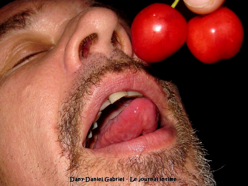 cerise burlat degustation photographie