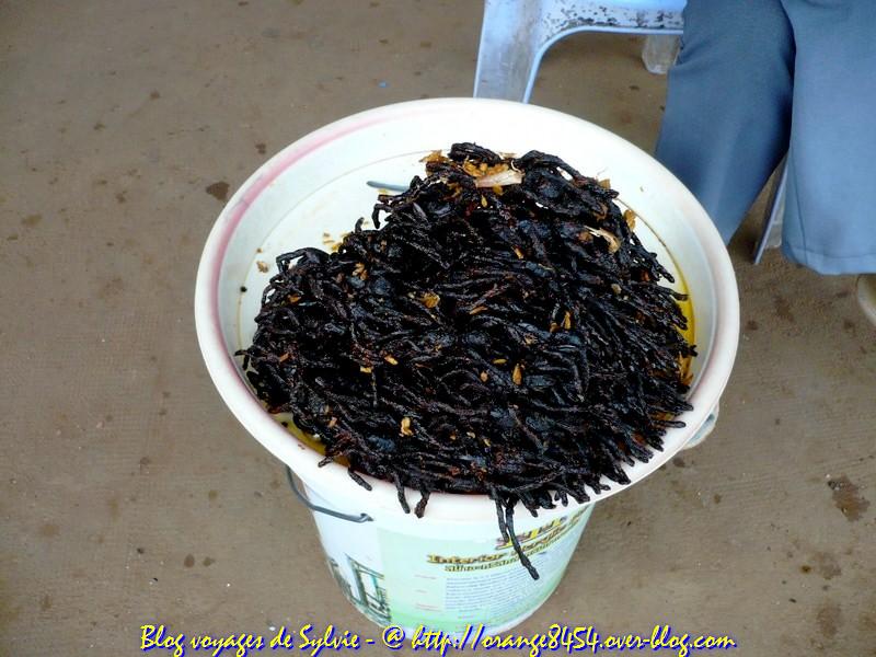 http://nsm05.casimages.com/img/2012/05/26//1205260213041486299903477.jpg