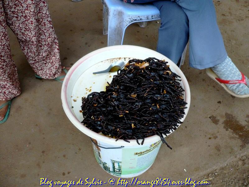 http://nsm05.casimages.com/img/2012/05/26//1205260213061486299903478.jpg