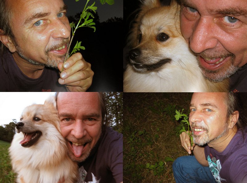 dany daniel gabriel chien gribouille