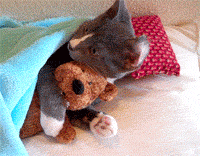 http://nsm05.casimages.com/img/2012/06/20//12062009180210078410008752.gif