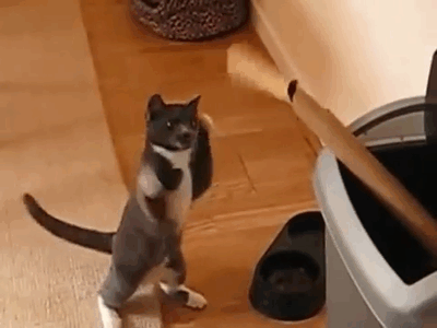 http://nsm05.casimages.com/img/2012/06/20//12062009195710078410008766.gif