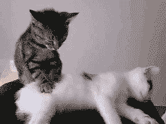 http://nsm05.casimages.com/img/2012/06/20//12062009202710078410008773.gif