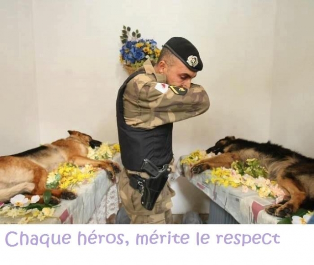 Chaque héros, mérite le respect dans e) COUPS DE COEUR 1207170405506738310114421