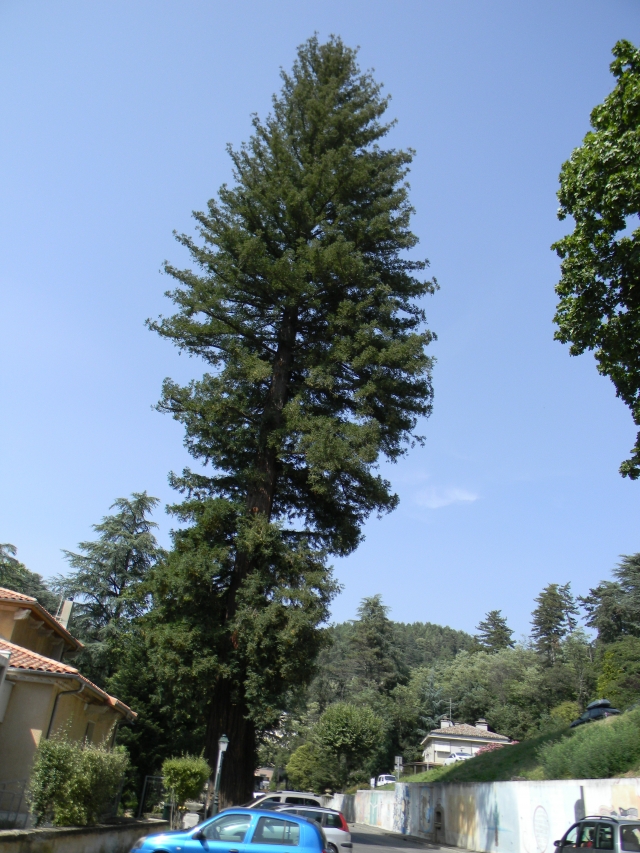 1207280158016738310150506 dans t) L'ARDECHE MOUN POI