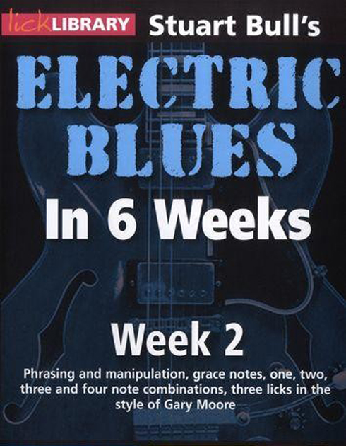 12081306212013799910207041 [Guitare] Learn Electric Blues Guitar in 6 Weeks   DVDRIP xVid English 