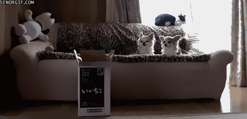 http://nsm05.casimages.com/img/2012/09/22//12092208013110078410349087.gif