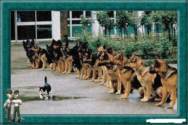 Self control !! dans e) COUPS DE COEUR 12092809393215299610372863