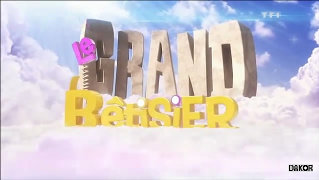 Le grand bêtisier - 12.10.2012 [TVRIP]