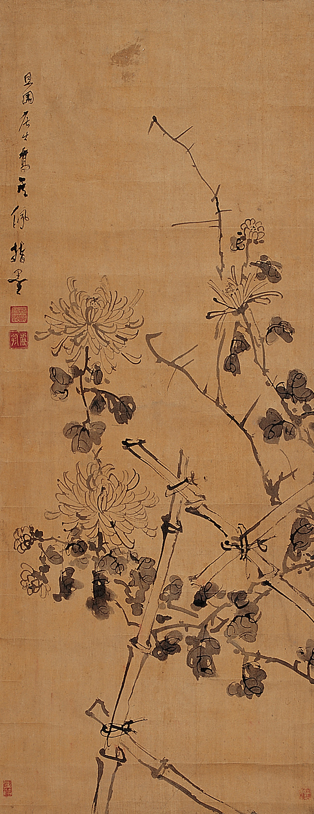 chrysanth&Atilde;&uml;mes