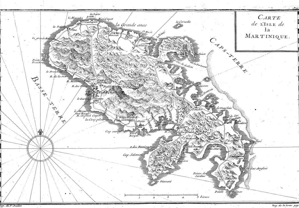 Feuillee_Martinique