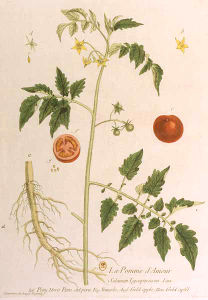 herbregnault5