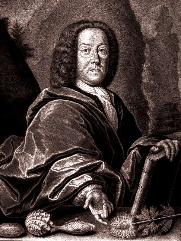 scheuzer