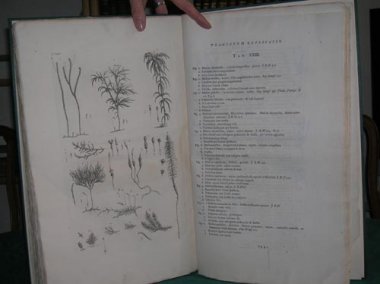 vaillantbotanicon2