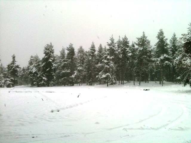 Un Dimanche à la neige dans l'arrière pays  101130103321947877218562
