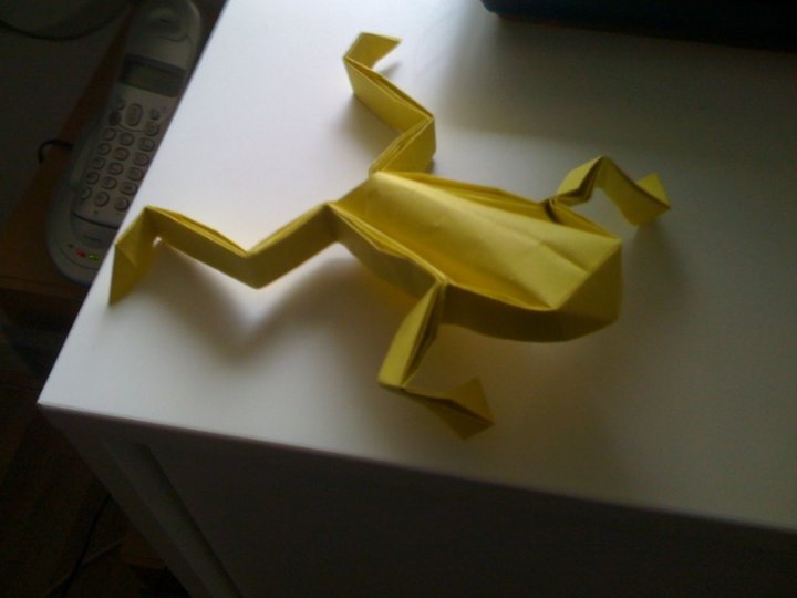 28840_390086697883_632337883_3876371_517728_n