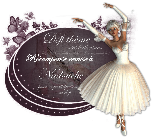 Récompenses - Deuxième défi thème de Mélane ; "Les ballerines" (15 novembre au 5 décembre) 101206060413748667259892
