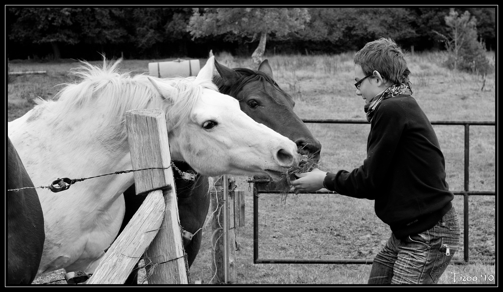 Noir et Blanc / Sépia / Désaturation partielle - Page 13 101209082258780407282033