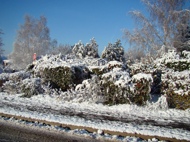 hebergeur image