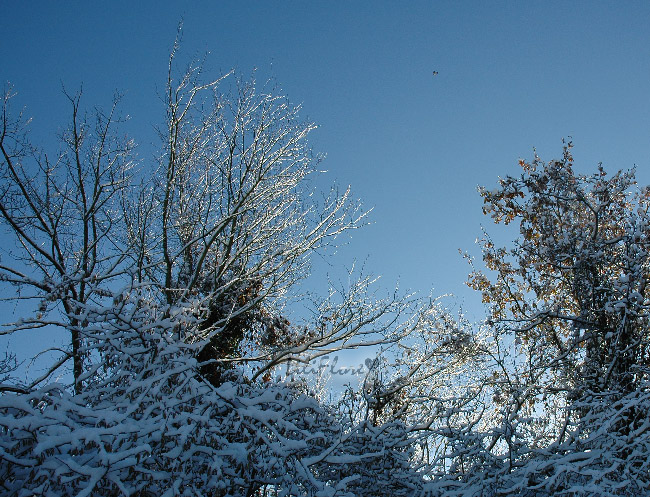 hebergeur image