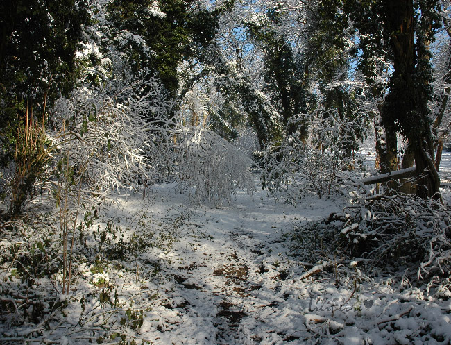 hebergeur image
