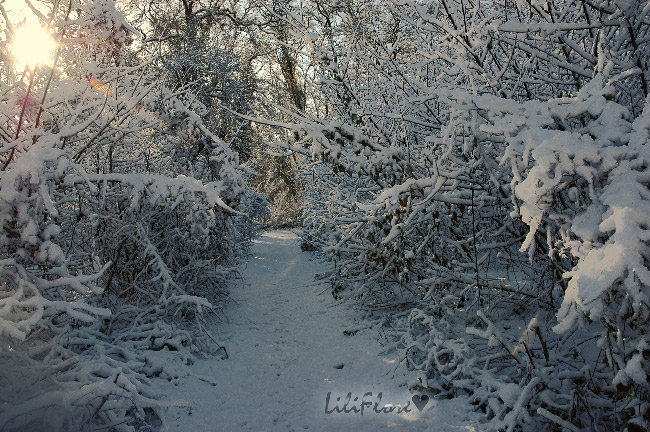 hebergeur image