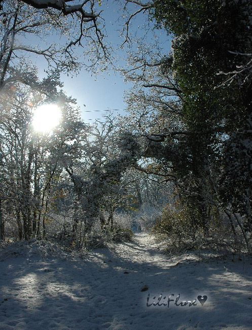 hebergeur image