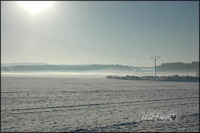 hebergeur image