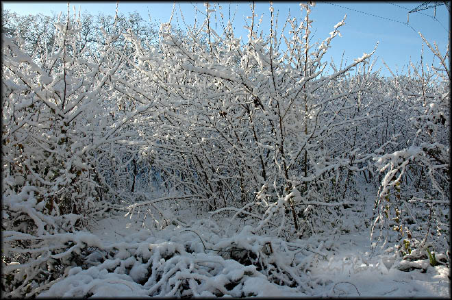 hebergeur image