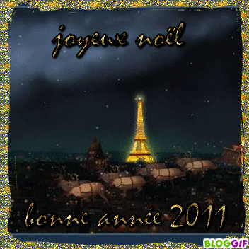 Bonnes Fêtes et Meilleurs Vœux pour 2011 - Page 2 1012200630431140117342915