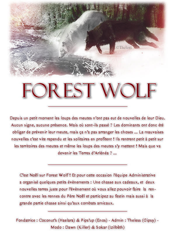 # 2 Forest Wolf 101223032739889697357465