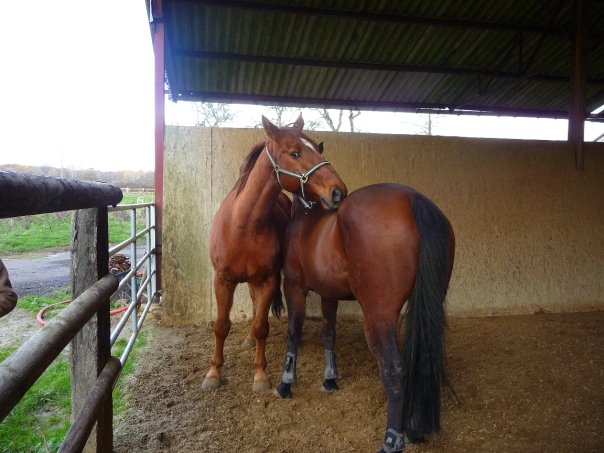 16662_1242019489292_1193476965_30735994_5433093_n