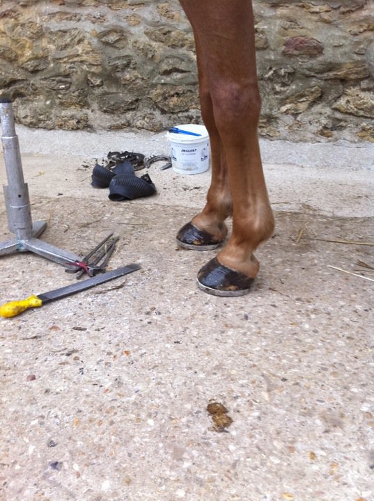 38019_1452978883145_1193476965_31198595_625984_n