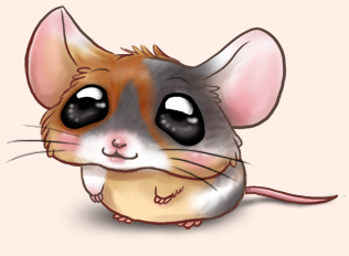 souris yuki