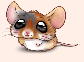 souris yuki vrai